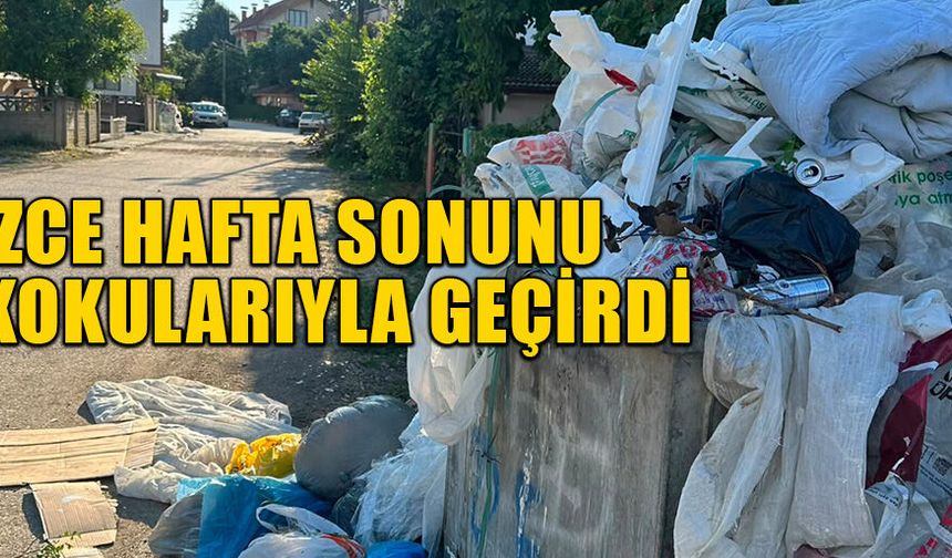 ÇÖPLER ALINMAYINCA DAĞLAR OLUŞTU