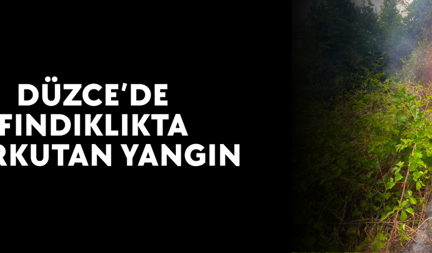 MUHTARIN ERKEN MÜDAHALESİ FACİAYI ÖNLEDİ