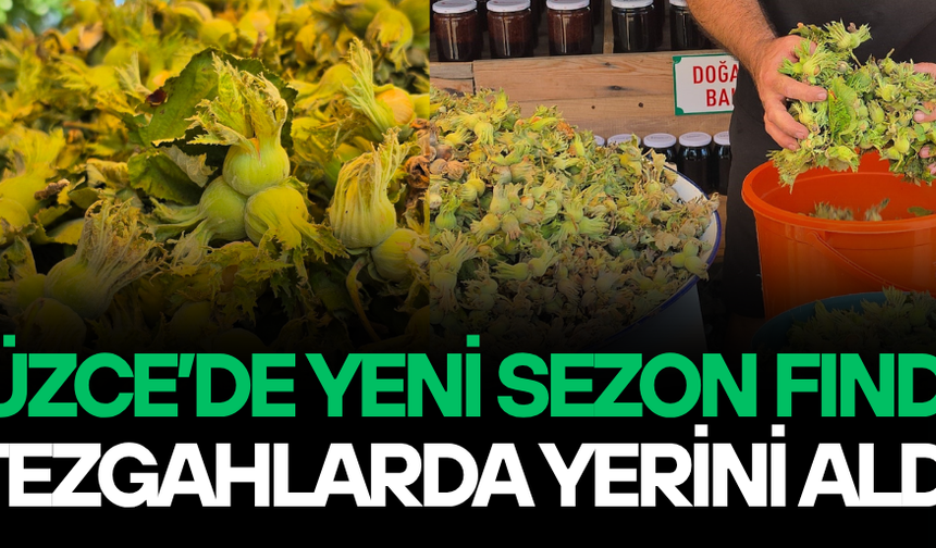 KİLOSU 200 LİRADAN ALICI BULUYOR