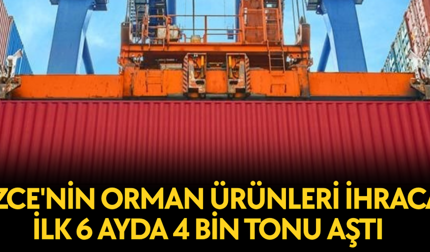YILIN İLK YARISINDA İHRACAT SÜRERKEN, ORMAN ÜRÜNLERİNDE ARTIŞ HEDEFLENİYOR