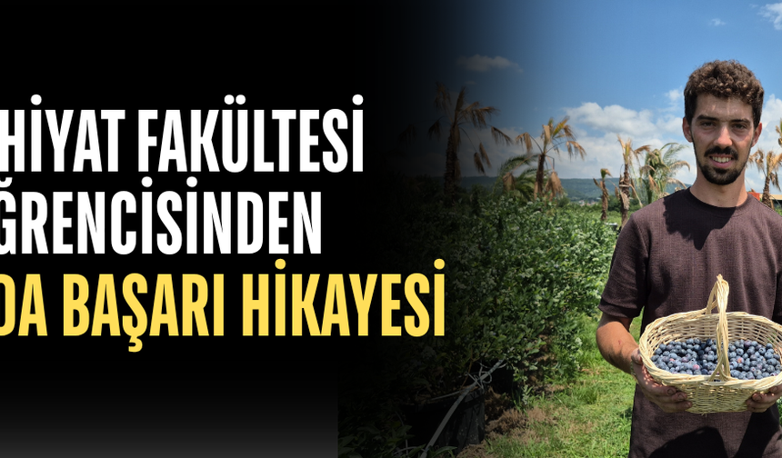 FINDIĞA ALTERNATİF ARARKEN ÜRETİMİ KATLADI