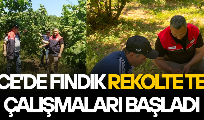 KAYNAŞLI İLÇESİNDE EKİPLER SAHAYA İNDİ