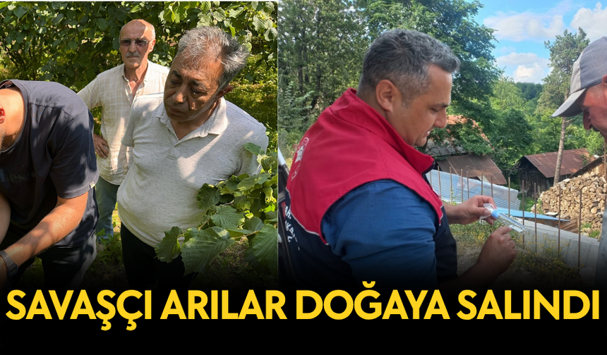 KOKARCA ZARARLISININ KONTROL ALTINA ALINMASI HEDEFLENİYOR