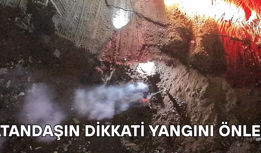 ALEVLER BÜYÜMEDEN SÖNDÜRÜLDÜ