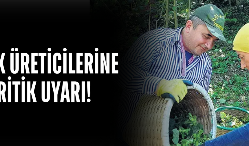 GELİRİ DOĞRUDAN ETKİLİYOR!