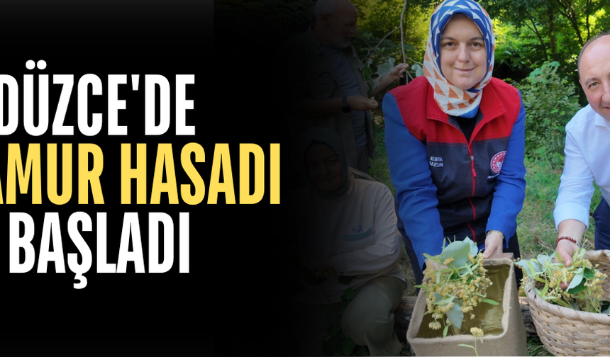 GÜVEN KÖYÜ'NDE ÜRETİCİLER YENİ SEZONUN İLK HASADINI YAPTI