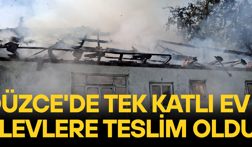 YANGIN TEK KATLI EVİ KÜLE ÇEVİRDİ