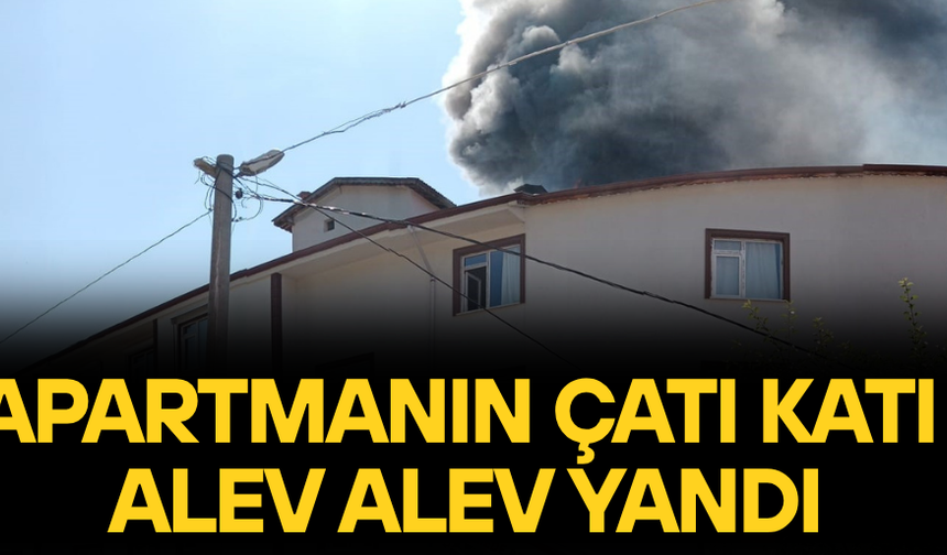 YANGIN UZUN UĞRAŞLAR NETİCESİNDE SÖNDÜRÜLDÜ