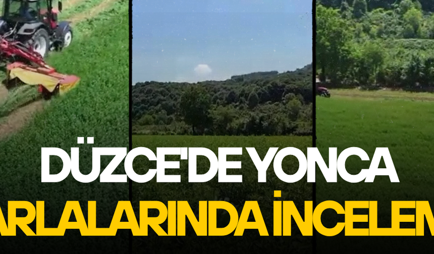KALİTELİ KABA YEM İÇİN YONCA ÜRETİMİNE DESTEK