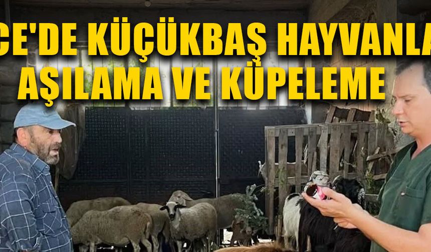 ÇALIŞMALARLA HAYVAN HASTALIKLARI ÖNLENİYOR