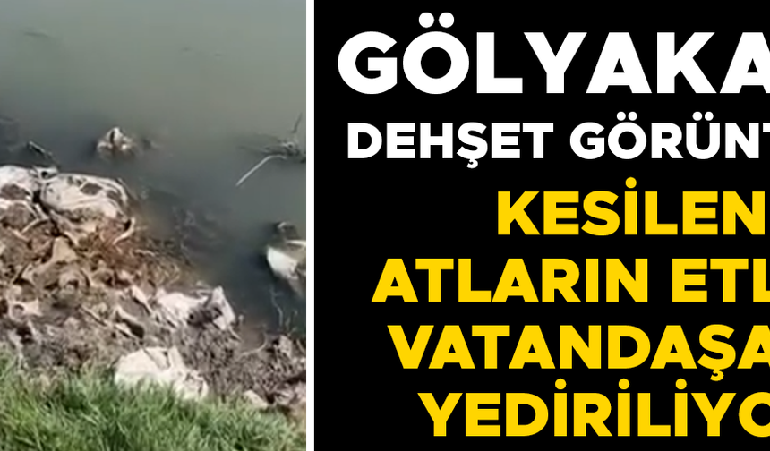 AT KEMİKLERİNİ DERE YATAĞINA BIRAKTILAR