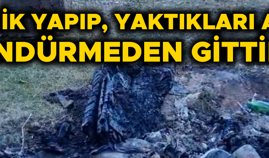 PÜRENLİ YAYLASI’NDA AZ KALSIN ORMAN YANGINI ÇIKACAKTI