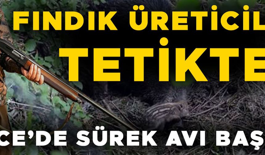 FINDIK BAHÇELERİNDE ZORLU NÖBET…