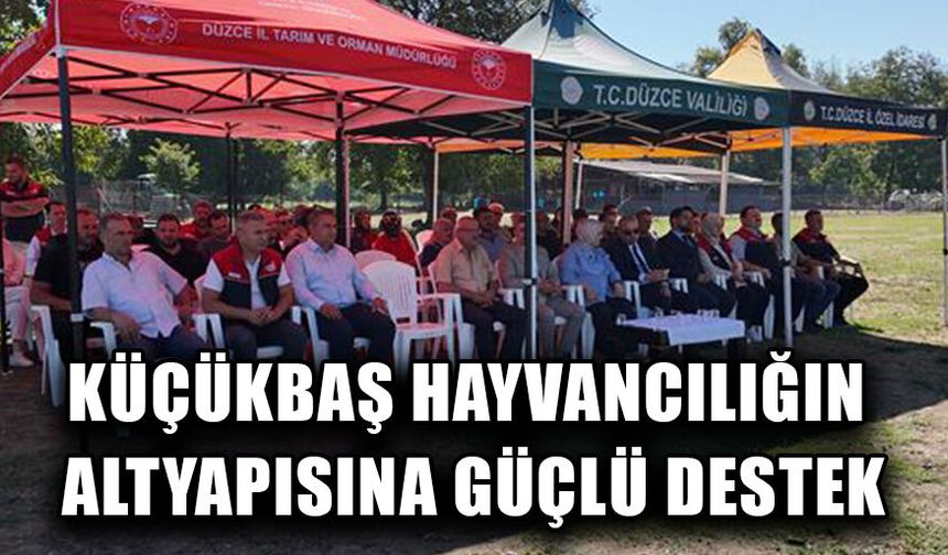 DÜZCE’DE YAKLAŞIK 20 BİN KÜÇÜKBAŞ HAYVAN BULUNUYOR