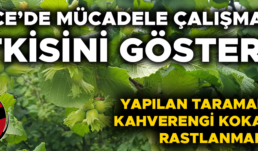 FINDIK ÜRETİCİLERİNE “ÜRÜNÜNÜZÜ ERKEN TOPLAMAYIN” UYARISI
