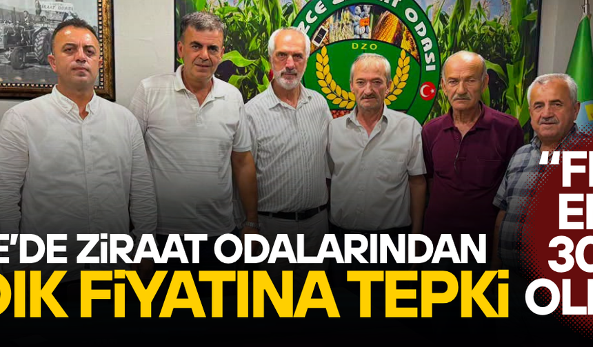 ZİRAAT ODALARI BAKANLIĞA SESLENDİ: FINDIK FİYATI YENİDEN DEĞERLENDİRİLSİN