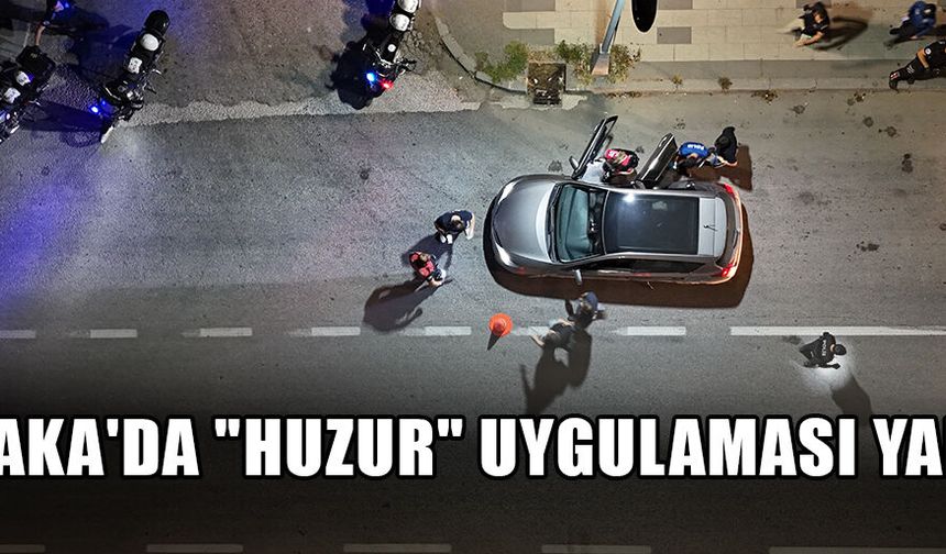 EKİPLER, DEDEKTÖR KÖPEKLE ARAMA YAPTI