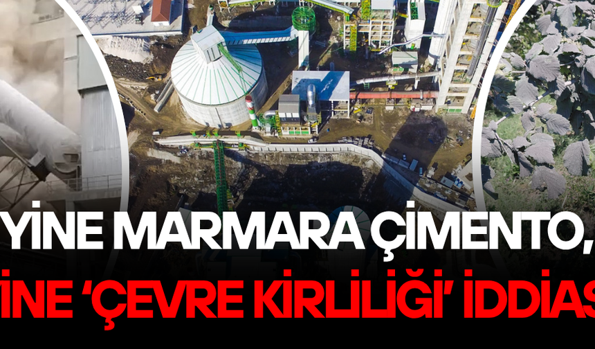 FABRİKA BACASINDAN SALINAN TOZLAR FINDIK BAHÇELERİNİ KAPLADI