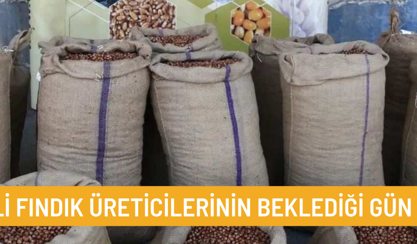 ALIMLAR BAŞLADI. YÜKSEK RANDIMANLI ÜRÜNLERE İLAVE ÖDEME YAPILACAK