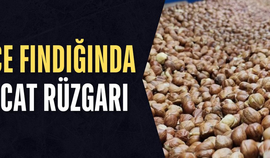 AB'YE 7 AYDA 6 BİN 674 TON ÎÇ FINDIK SATIŞI