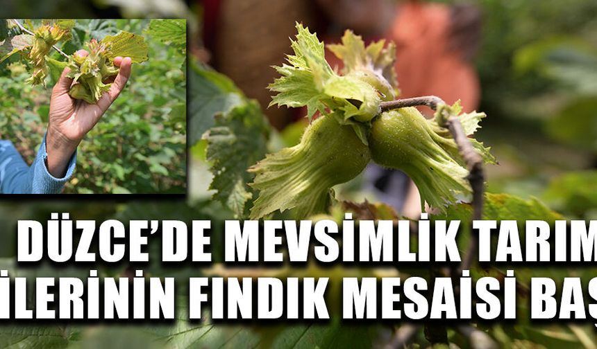 “GEÇİM DERDİ ZOR, ÇALIŞMAZSAK OLMAZ”