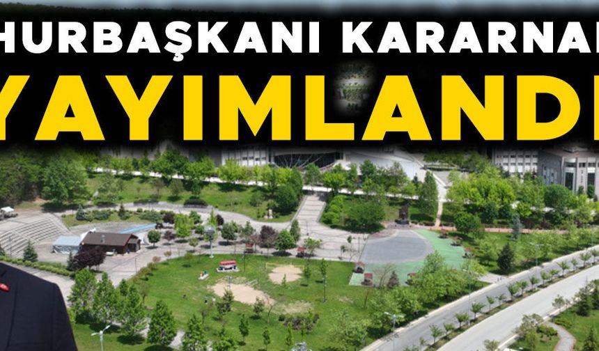 DÜZCE ÜNİVERSİTESİ SÖZBİR İLE YOLA DEVAM EDECEK