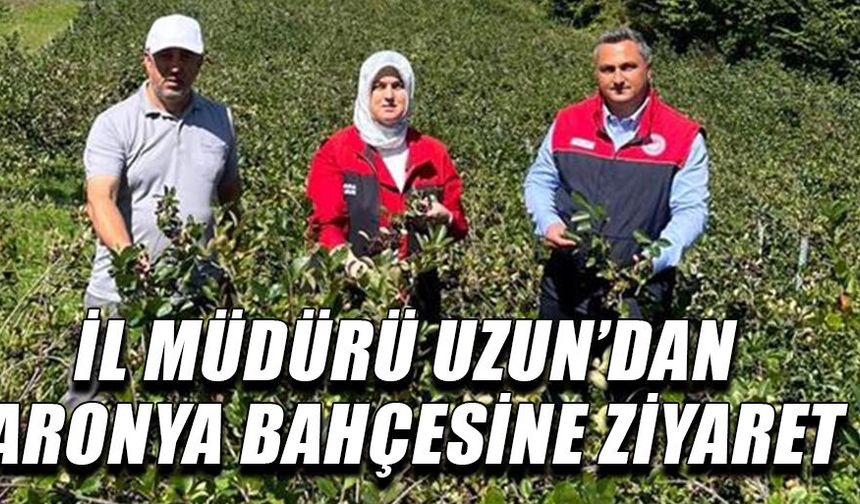 ARONYA BAHÇESİNDE, HASAT OLGUNLUĞUNA ULAŞAN ÜRÜNLER İNCELENDİ