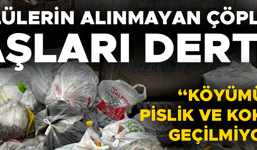“KOSKOCA KÖYDE 3 TANE ÇÖP KONTEYNIRI VAR”