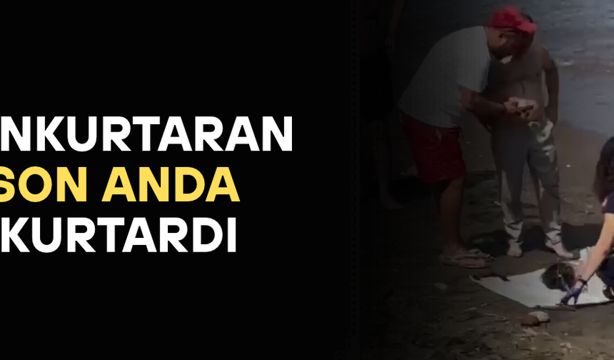 PLAJDA KISA SÜRELİ PANİĞE NEDEN OLDU