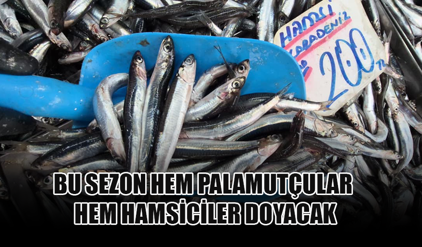 BALIK FİYATLARINI ZAMLAR DEĞİL DENİZDEN ÇIKIŞI BELİRLİYOR