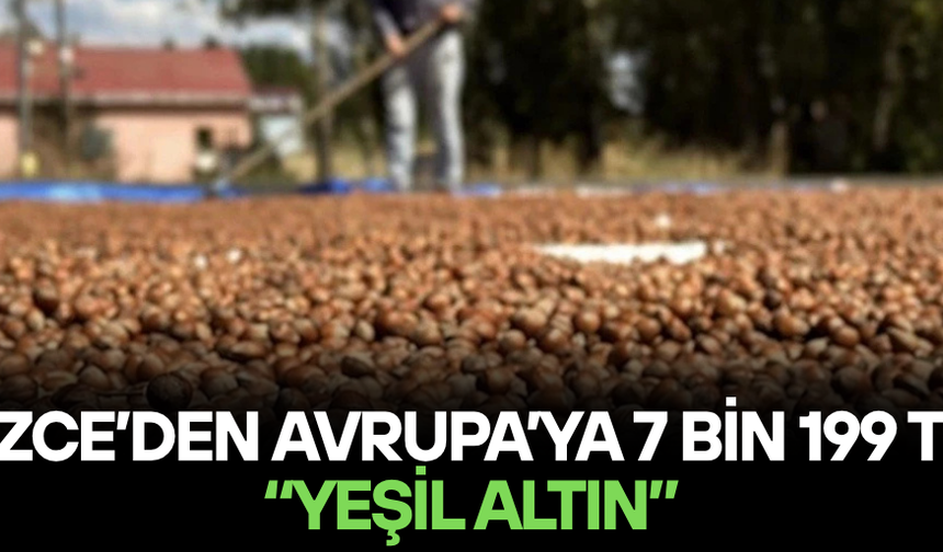 FINDIK İHRACATINDA AVRUPA BEREKETİ