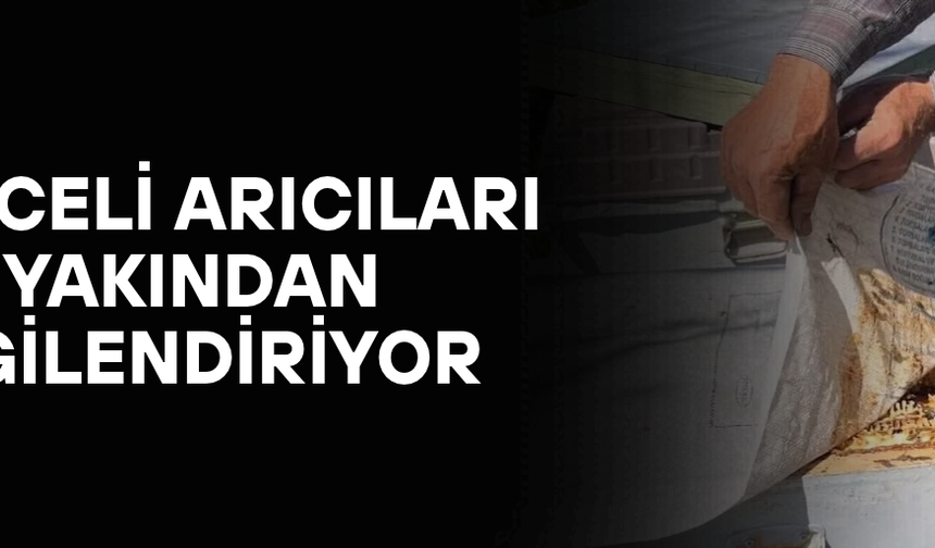 ARILI KOVAN TESPİT ÇALIŞMALARI SÜRÜYOR
