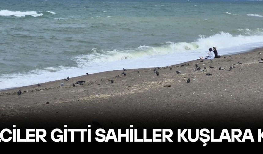 SAHİLLERDE GÜVERCİN VE MARTI YOĞUNLUĞU BAŞLADI