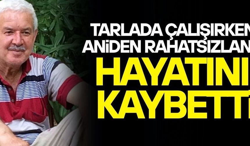 ECEL ONU TARLADA YAKALADI