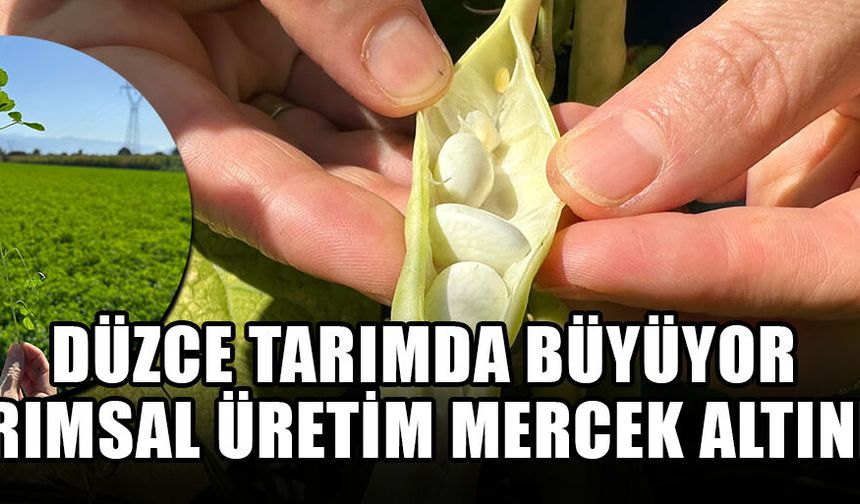 TARIMSAL ÜRETİM MERCEK ALTINDA