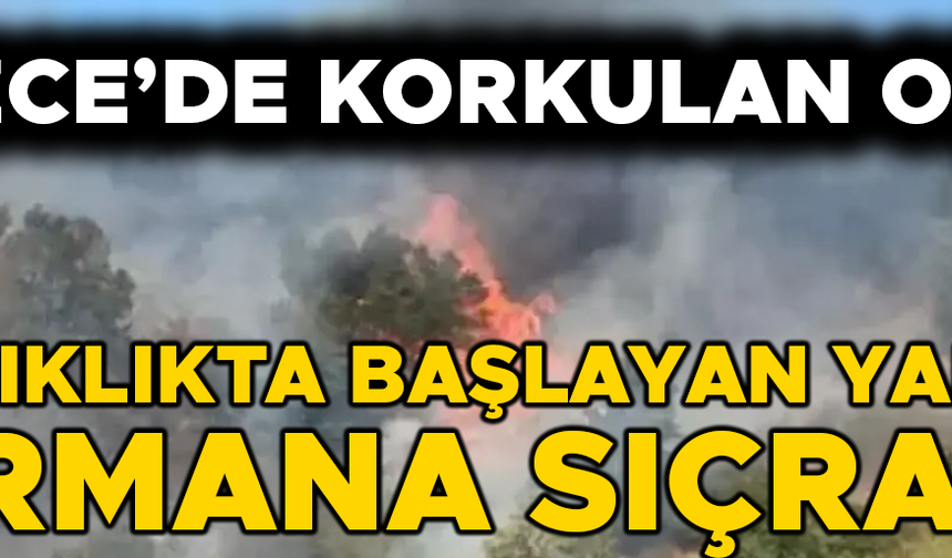 TÜM EKİPLER SEFERBER EDİLDİ…