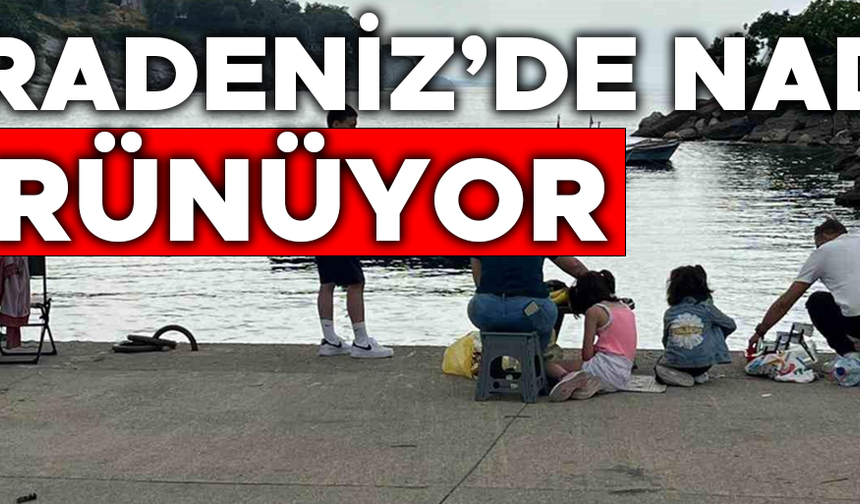 AKÇAKOCA’DA BALIKÇILARIN OLTASINA BAKIN NE TAKILDI?