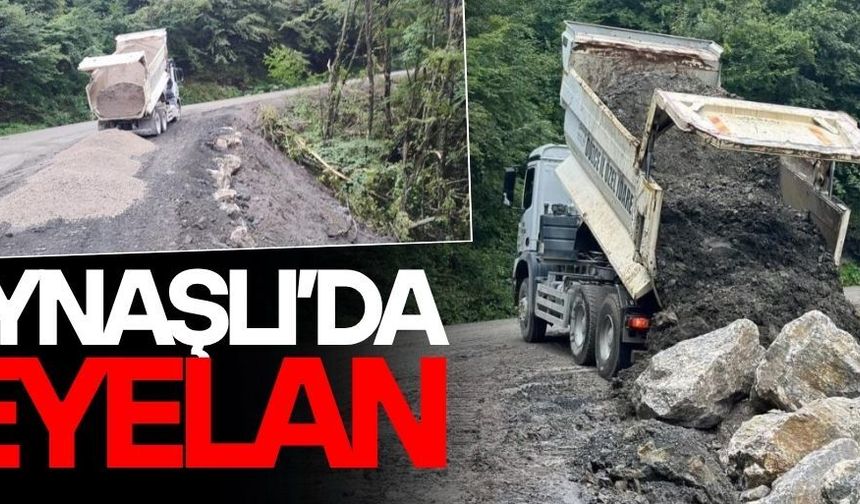 DÜZCE’DEKİ AŞIRI YAĞIŞLAR HEYELANA NEDEN OLDU