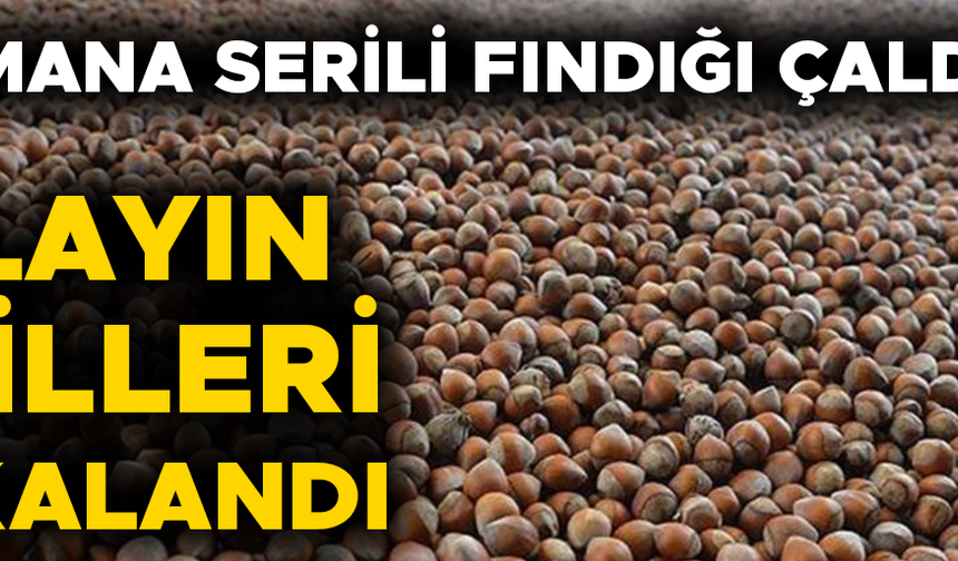 ÇALDIKLARI ÜRÜNÜ SATMIŞLAR