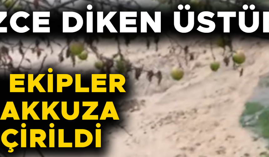 ŞİDDETLİ YAĞIŞLAR YOLLARI DERE YATAĞINA ÇEVİRDİ