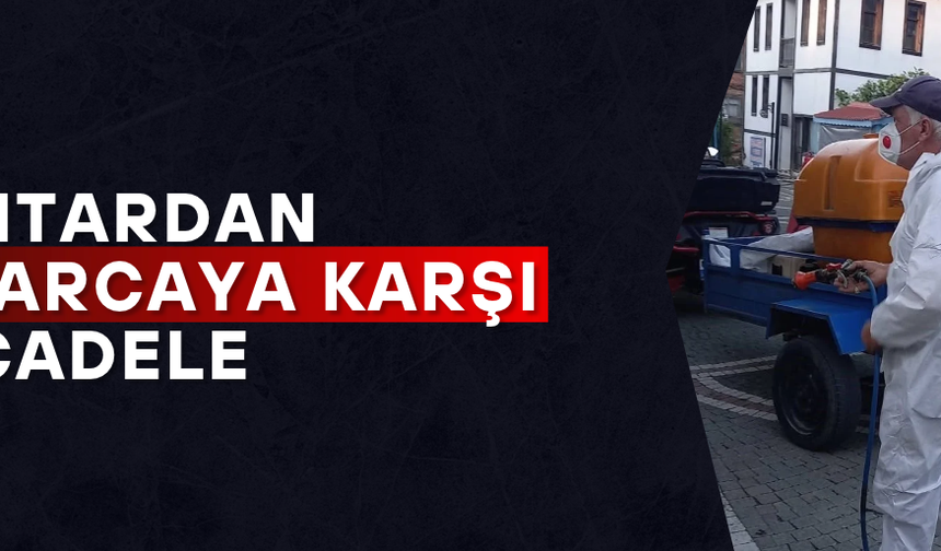 MAHALLE SOKAKLARINDA İLAÇLAMA YAPTI