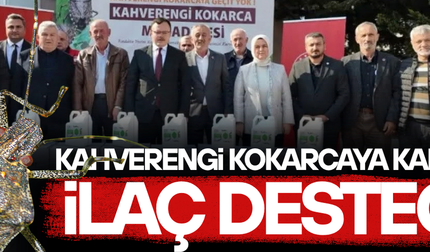 DÜZCE’DE KAHVERENGİ KOKARCA ZARARLISIYLA MÜCADELE DEVAM EDİYOR
