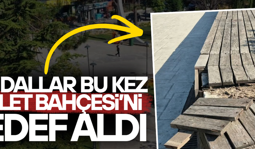 KAMU MALINA VERİLEN ZARAR DÜZCELİLERİN TEPKİSİNİ ÇEKTİ