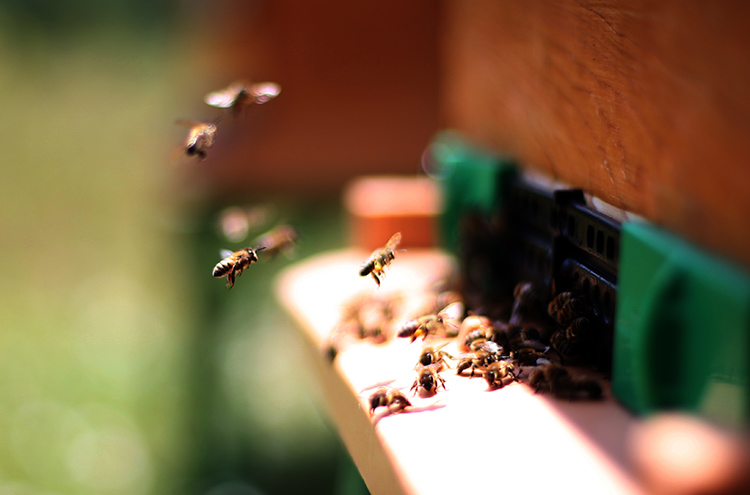 06_2022_06_Haziran_21_AA-28253365