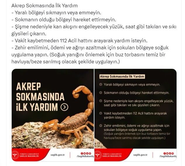 AKREP SOKMASI 