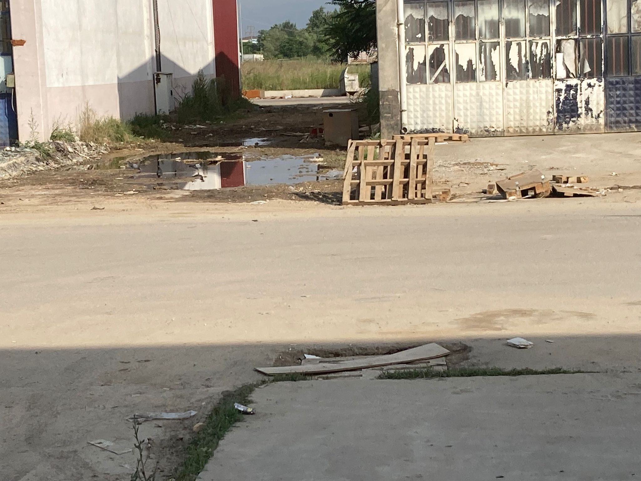 WhatsApp Image 2023-07-27 at 12.11.25