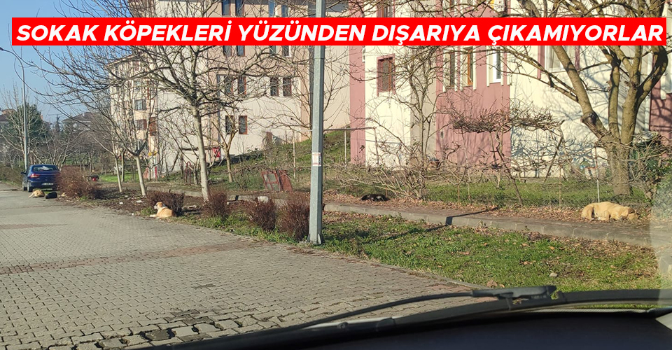 SAYILARI HER GEÇEN GÜN ARTIYOR - Düzce Öncü Haber, Öncü TV, 100.2 Öncü FM