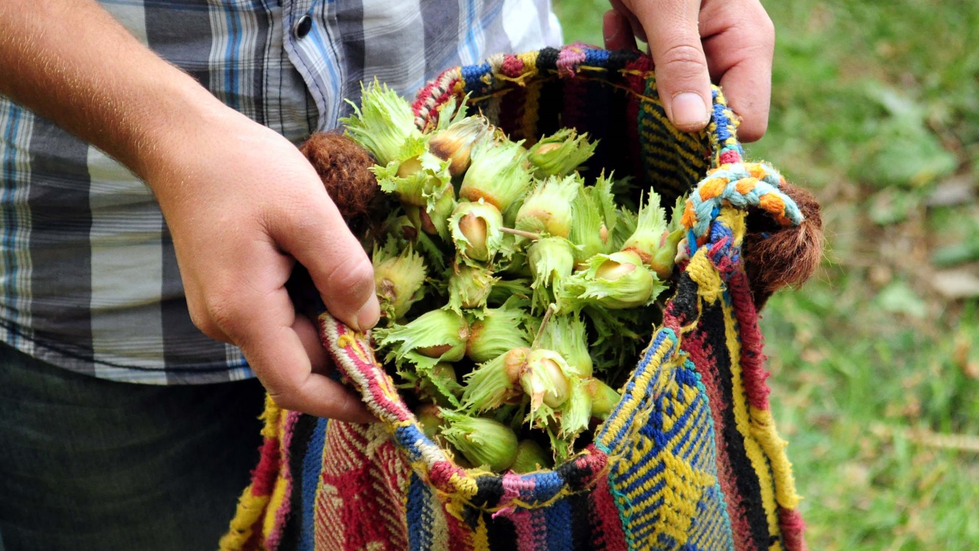 Fındık Çuvalı