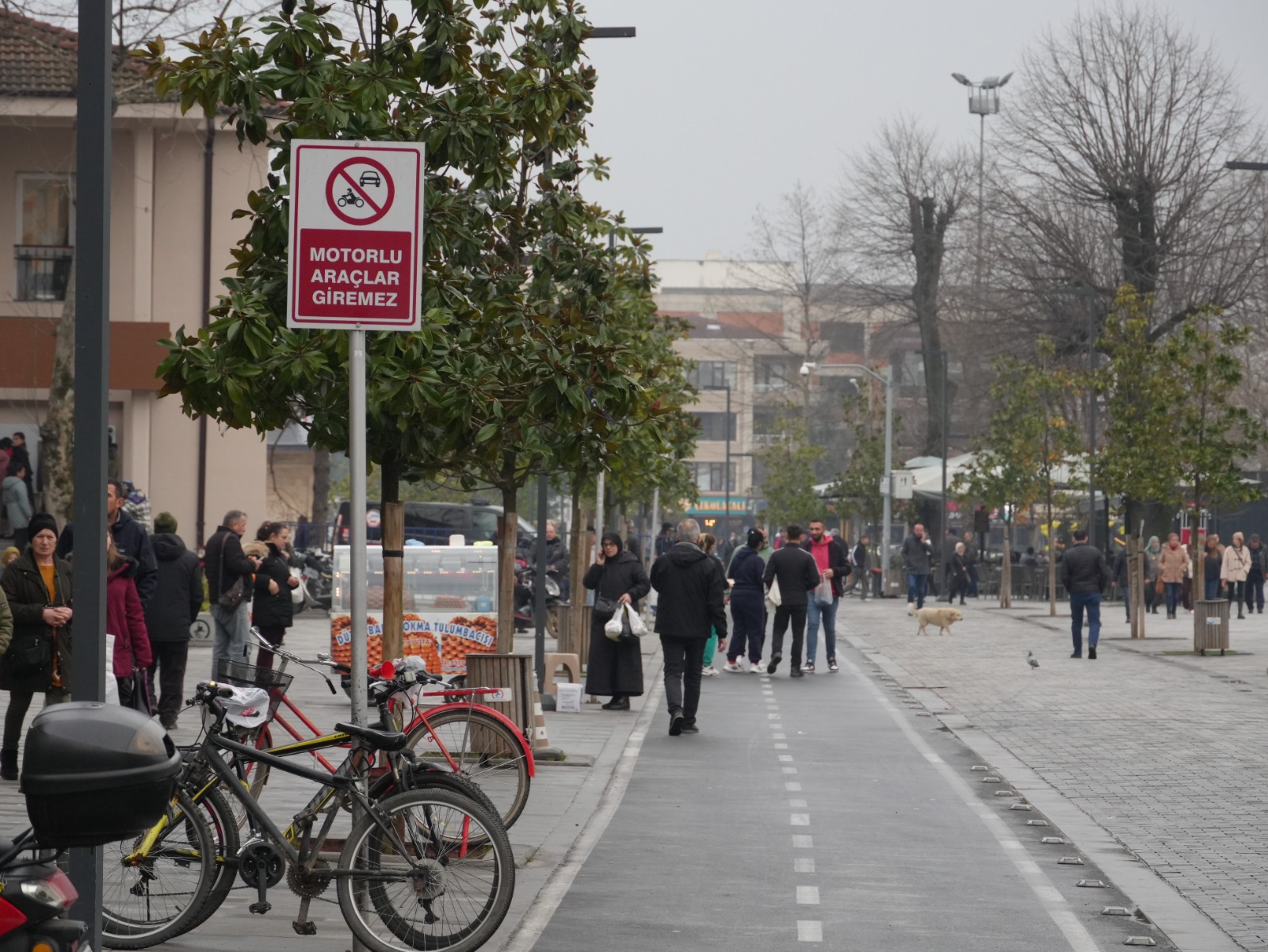 Istanbul Caddesi Denetim (7)