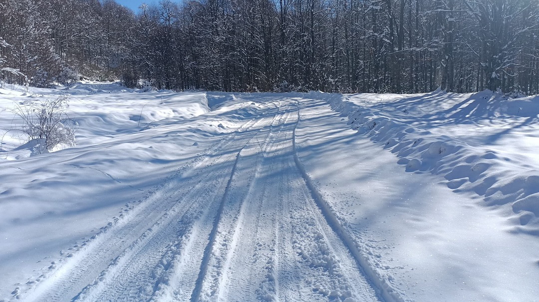 472595017 18054765260284741 1521676722689295637 N